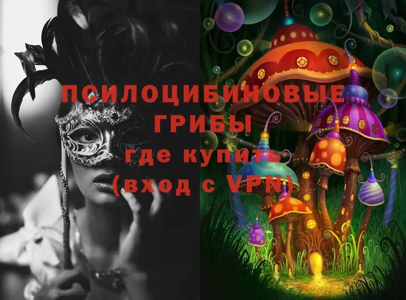 дарнет шоп  Уварово  mega как зайти  Псилоцибиновые грибы Psilocybine cubensis 